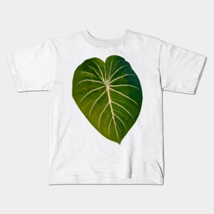 Philodendron gloriosum radiante Kids T-Shirt